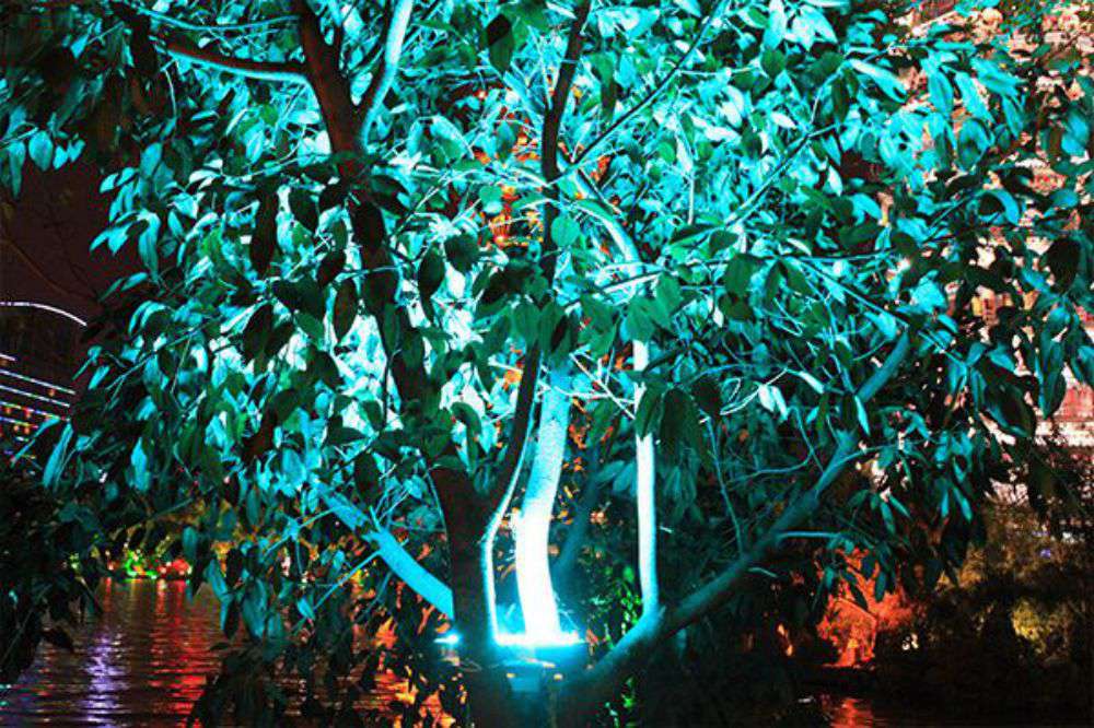 suncitygroup̫RGBͶںھĿ