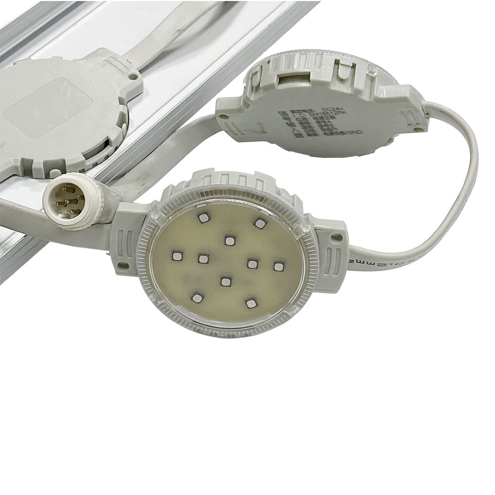 suncitygroup̫--ٷվ