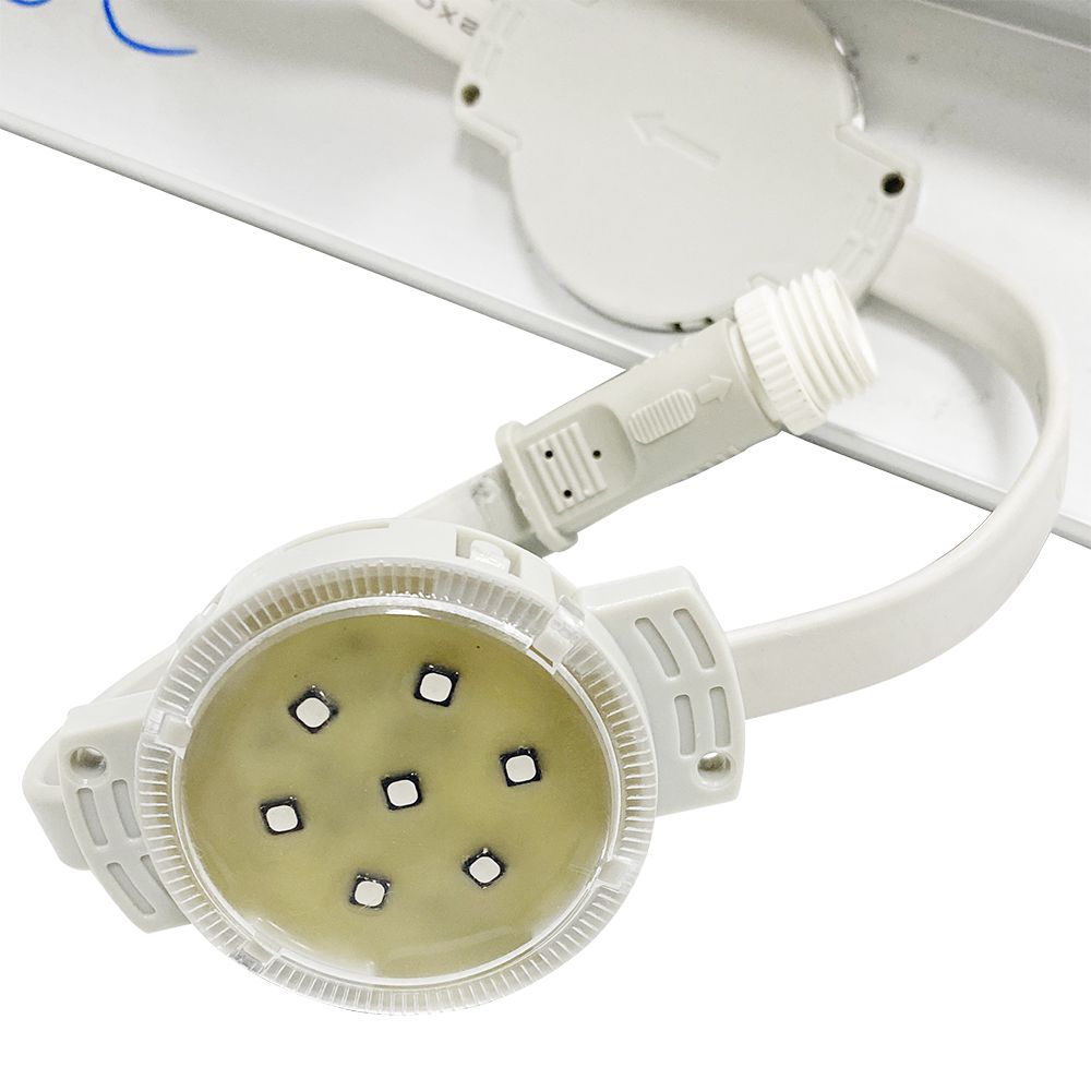 suncitygroup̫--ٷվ