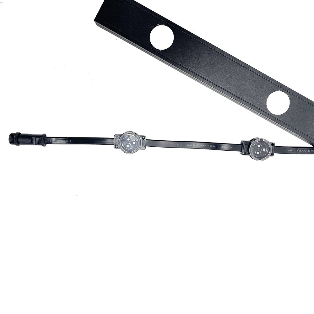 suncitygroup̫--ٷվ