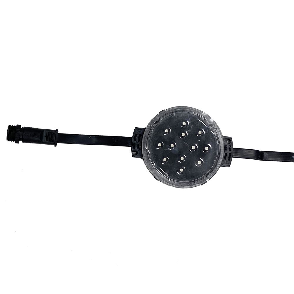 suncitygroup̫--ٷվ